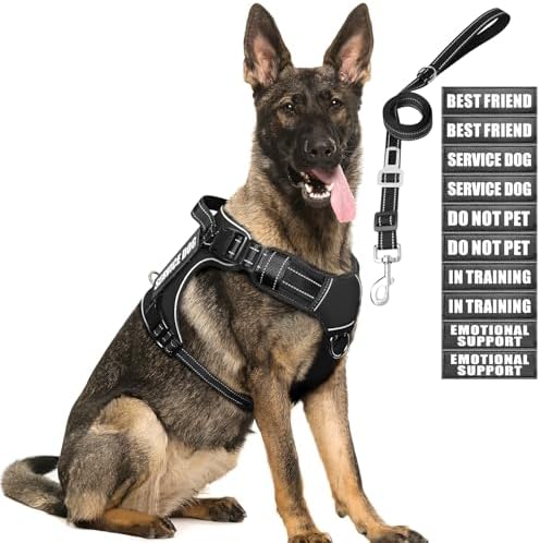 Tactical Dog Harness and Leash Set for Large Dogs+10 Dog Patches