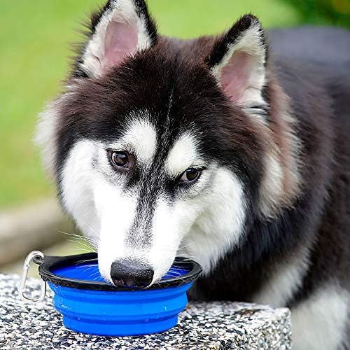Kytely Large Collapsible Dog Bowls 2 Pack, 34oz Foldable Dog Travel Bowl