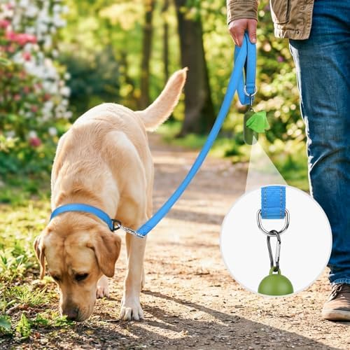 Joytale Reflective Dog Leash for Small Dogs, 5 FT x 3/4", Sky Blue