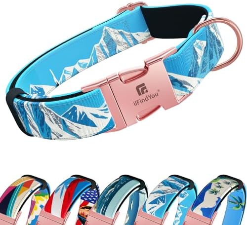 Reflective Dog Collar for Large Dogs, Artistic Design Rocky-L