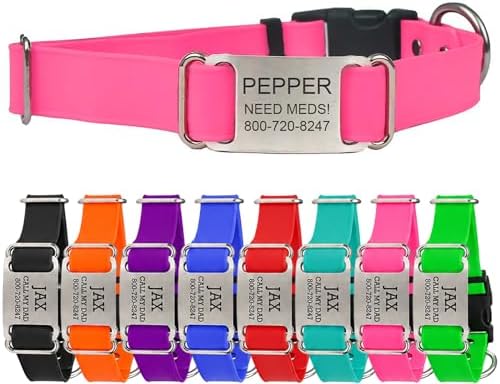 dogIDs Personalized Quick Release Waterprooft ScruffTag Dog Collar - Built-in Custom Laser Engraved Nameplate, Odor Resistant - Magenta, 5/8 in x 11-14 in (Fits Neck Sizes: 11-14 in)