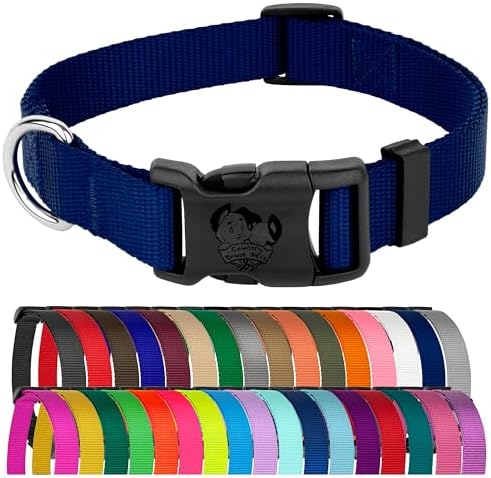 Country Brook Petz - Everyday Nylon Dog Collar for Large, Medium, and Small Dogs and Puppies - for Everyday Use in 30+ Colors (Small, 3/4 Inch Wide, Royal Blue)