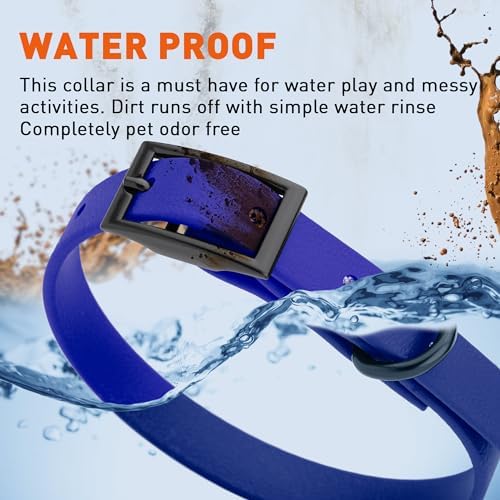 Dogline Biothane Waterproof Dog Collar Strong Coated Nylon Webbing with Black Hardware Odor- Proof for Easy Care Easy to Clean High Performance Fits Small Medium or Large Dogs, Blueberry Royal