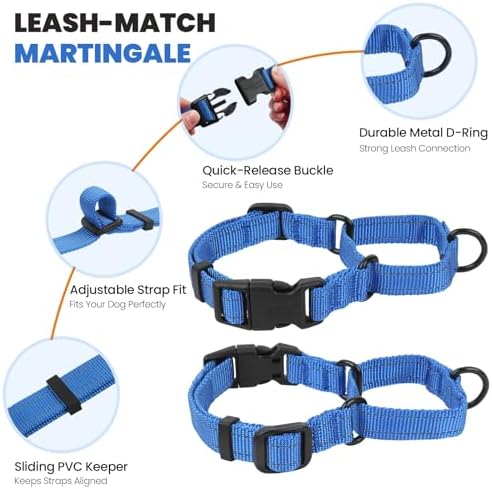 VIVAGLORY Double Handle Dog Leash Twingrip, 5ft x 1in, M, Navy