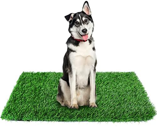 GLOBREEN 34" x 23" Fake Grass Pee Pad for Dogs Potty Training Turf Pets Mat - Easy to Clean with Drainage Holes - Indoor Outdoor Use