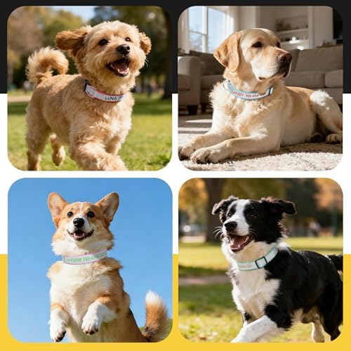Personalized Reflective Dog Collar, Embroidered Name & Phone Number
