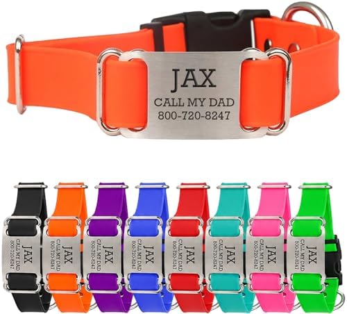 dogIDs Personalized Quick Release Waterprooft ScruffTag Dog Collar - Built-in Custom Laser Engraved Nameplate, Odor Resistant - Orange, 1 in x 13-18 in (Fits Neck Sizes: 13-18 in)