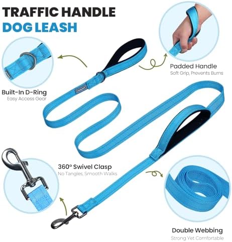 VIVAGLORY Double Handle Dog Leash Twingrip, 5ft x 1in, M, Blue