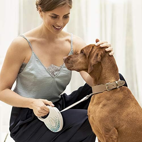 Flexi Glam Splash Mystic Tape Onyx-Black Medium 5m Retractable Dog Leash/Lead for Dogs up to 25kgs/55lbs