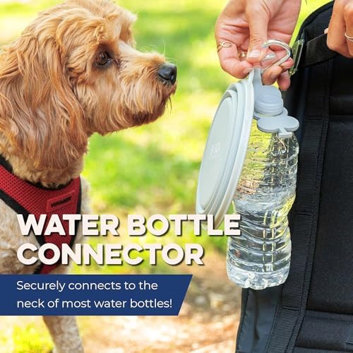 Bonza Collapsible Dog Bowls - Small 12 oz, Dog Travel Accessories, Silicone Portable Dogs Bowl & Water Dish with Reinforced Rim & Carabiner for Hiking, Camping, and Car Trips, Black