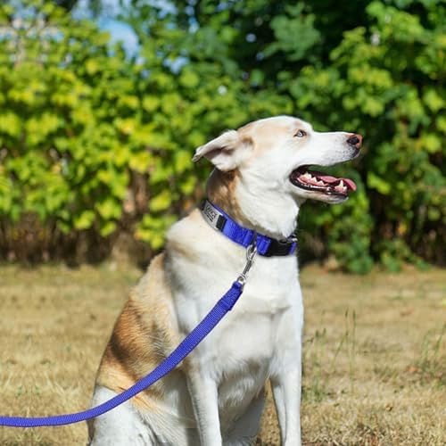 Joytale Personalized Dog Collar with Name Plate Built-in for Large Dogs