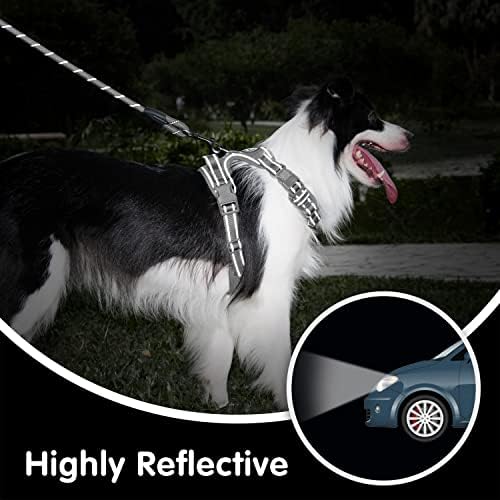 PoyPet Dog Harness and Leash Set, No Pull Vest with Front Clip and Handle