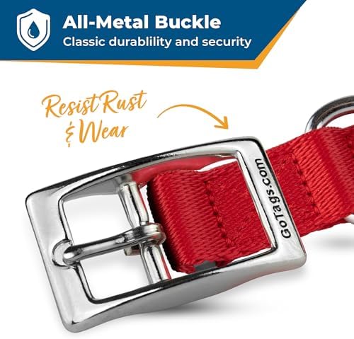 GoTags Personalized Dog Collar with Buckle, Custom Embroidered with Pet Name and Phone Number in Blue, Black, Pink, Red and Orange, for Boy and Girl Dogs or Cats, 10 Adjustable Sizes