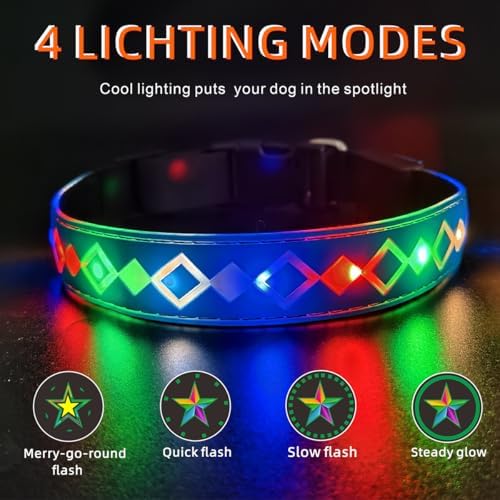 Personalized Flashing Dog Collar with Laser Engraved ID Tag