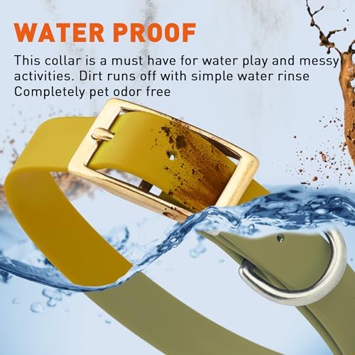 Viper Biothane Heavy Duty Waterproof Dog Collar Strong Coated Nylon Webbing w/Solid Brass Hardware Odor-Proof Easy to Clean High Performance Fits Small Medium or Large Dogs, Treasure Gold