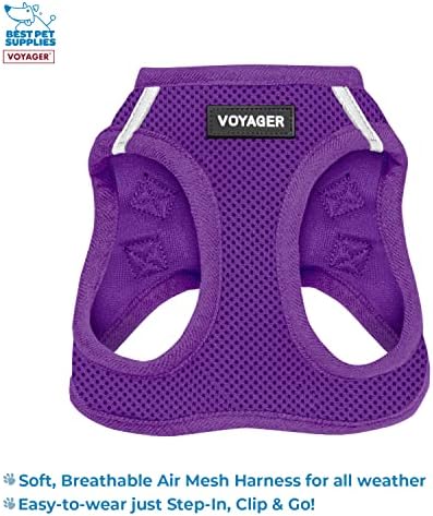 Voyager Step-in Air All Weather Mesh Harness and Reflective Dog 5 ft Leash Combo with Neoprene Handle, for Small, Medium and Large Breed Puppies and Cats by Best Pet Supplies - Purple, XXXS