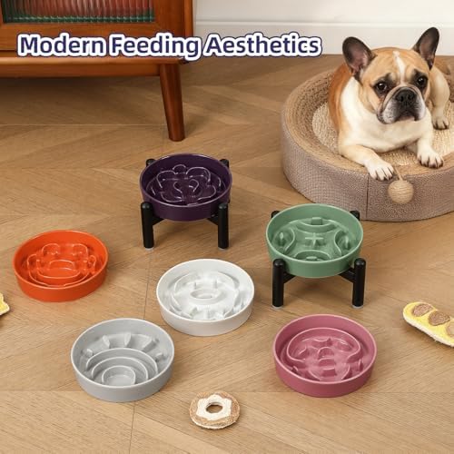 Elevated Slow Feeder Dog Bowl, 0.8 Cups Ceramic Raised Slow Feeder with Stainless Stand, 6.3 Inch Wide Lifted Dog Bowl for Small Breeds to Control Eating Speed, Grey