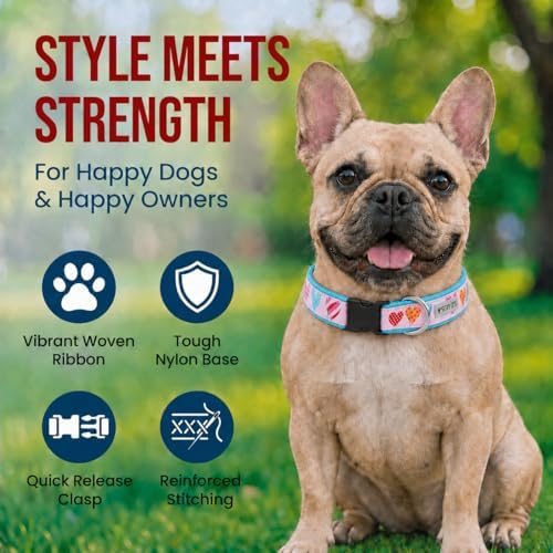THE WORTHY DOG Summer Print, Adjustable Dog Collar,Medium Dogs,Love is Love