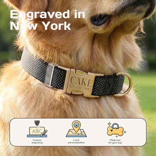 Custom Dog Collar with Name and Phone Number