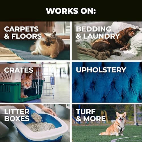 Simple Green Pet Stain and Odor Eliminator 1 Gal