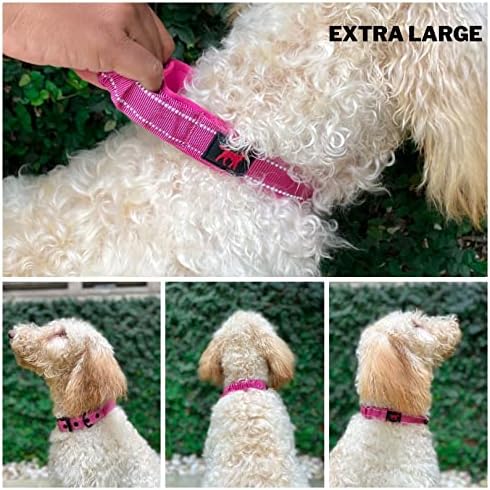 Tuff Pupper Heavy Duty Dog Collar with Handle | Ballistic Nylon Heavy Duty Collar | Padded Reflective Dog Collar with Adjustable Stainless Steel Hardware | Convenient Sizing for All Breeds