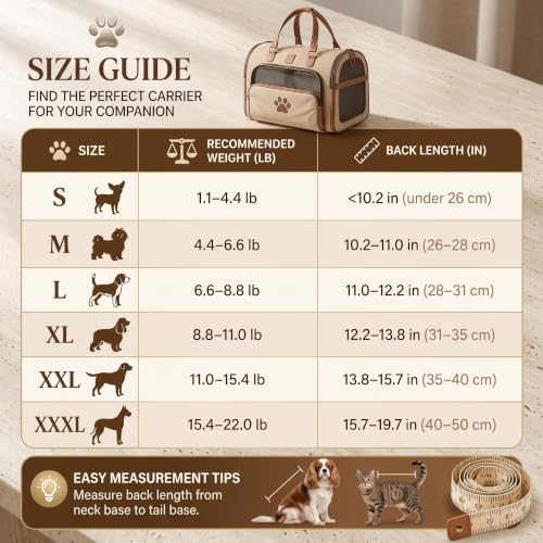 Cute Bear Design Front Pet Carrier Backpack, Adjustable Breathable Front Facing Pet Carrier for Small Dogs and Cats, Hands-Free Legs Out Puppy Chest Bag for Outdoor Hiking & Bike Riding，X-Large