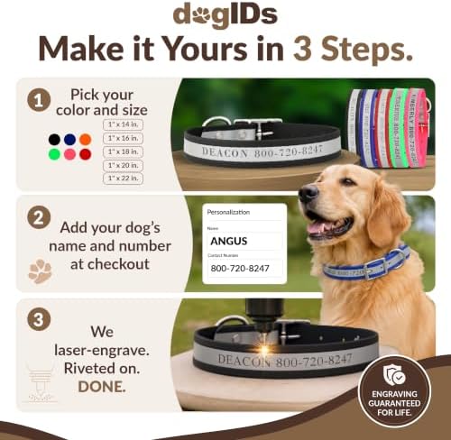 dogIDs Personalized Reflective Waterproof Dog Collar - Custom, Durable, Adjustable, Odor Resistant, Safe, Engraved - Black, 1 in x 14 in (Fits Neck Sizes: 12-16 in)