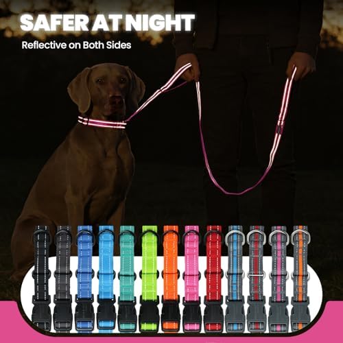 VIVAGLORY Double Handle Dog Leash Twingrip, 5ft x 1in, L, Pink
