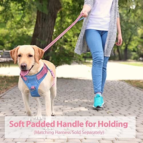 PHOEPET 5 Feet Dog Leash - Dual-Side Reflective - Soft Padded Handle