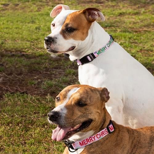 Pawtitas Personalized Dog Collar Dog Soft Adjustable Puppy Collar Customizable Embroidered add Pet Name Phone Number or Phrase Large Christmas Cookies