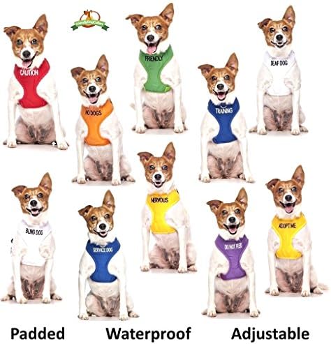 Adopt ME Yellow Color Coded 2 4 6 Foot Padded Dog Leash (New Home Needed) Donate to Your Local Charity (4 Foot Leash)