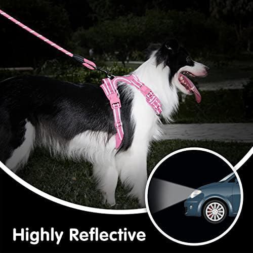 PoyPet Dog Harness and Leash Set, No Pull Vest with Front Clip and Handle