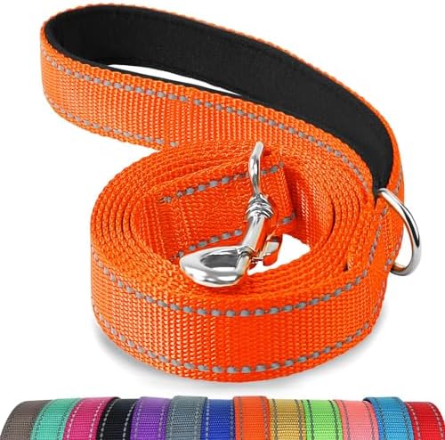 Joytale Reflective Dog Leash for Medium & Large Dogs, 6 FT x 1", Orange
