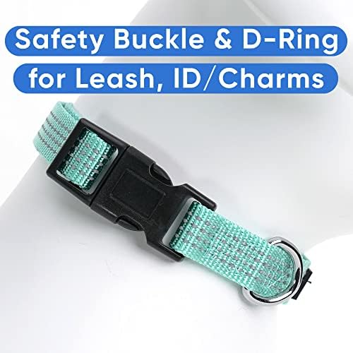 Pawtitas Reflective Dog Collar for X-Small Dogs – Adjustable Nylon Puppy Collar with Quick-Release Buckle | Fits Neck 8–13 in | Night Safety Training Collar | XS | Teal