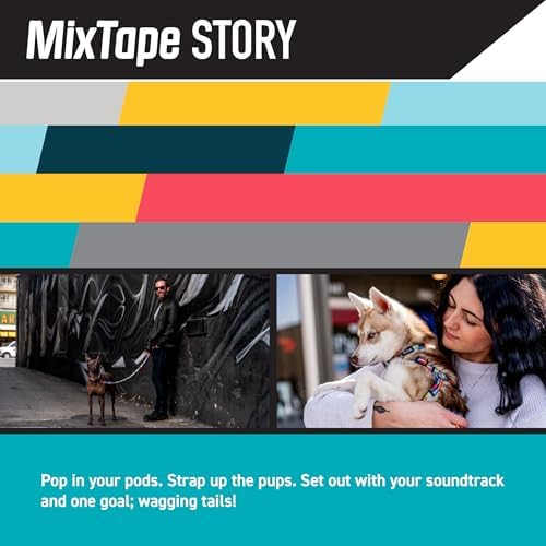 Wolfgang Venture Dog Collar Mixtape M