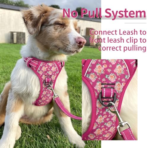 HEELE Dog Harness, Reflective, No Pull No Choke, Flower Rose, M