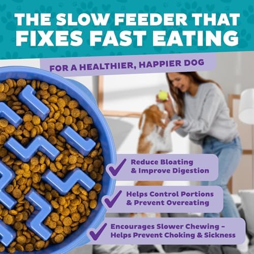 Outward Hound Fun Feeder Slo Bowl – 2‑Cup Capacity, Slow Feeding, Small to Medium Dogs & Cats, Non-Slip, Blue, Notch Pattern, Medium (Pack of 12)
