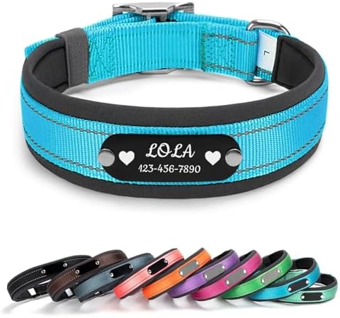 Personalized Reflective Dog Collar with Name, Blue: XL