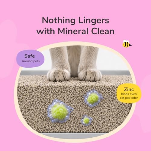 kin+kind Kitty Litter Box Odor Eliminator, Cat Pee Remover, Lavender, 32 oz