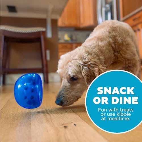Outward Hound Lil' Snoop Interactive Treat Dispensing Dog Toy, Blue, 3.9"