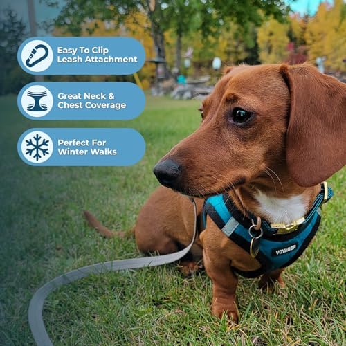 Voyager Step-in Plush Dog Vest Harness -Turquoise Plush, Medium