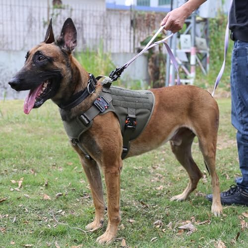 ICEFANG Tactical Dog Harness for Medium Dogs,Full Metal Buckles Dog Vest