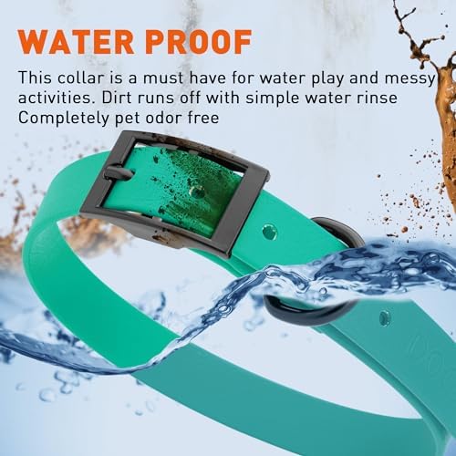 Dogline Biothane Waterproof Dog Collar Strong Coated Nylon Webbing with Black Hardware Odor- Proof for Easy Care Easy to Clean High Performance Fits Small Medium or Large Dogs, Teal