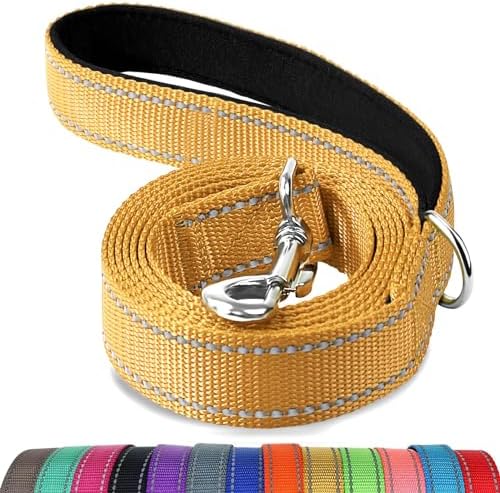 Joytale Reflective Dog Leash for Small Dogs, 6 FT x 3/4", Khaki