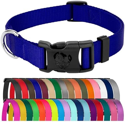 Country Brook Petz - Everyday Nylon Dog Collar for Large, Medium, and Small Dogs and Puppies - for Everyday Use in 30+ Colors (Extra Large, 1 Inch Wide, Bright Royal Blue)