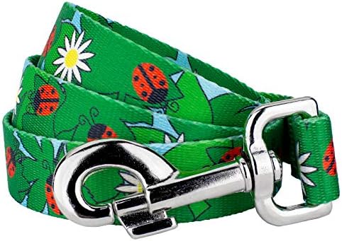 Country Brook Petz - Ladybug Picnic Everyday Everyday Dog Leash - Summer Breeze Collection Featuring Sunny Designs (4 Foot, 1/2 Inch Wide)
