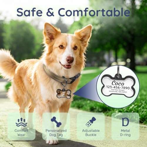 Personalized Dog Collar and Dog Tag Set,Comfortable for Medium Large Dogs