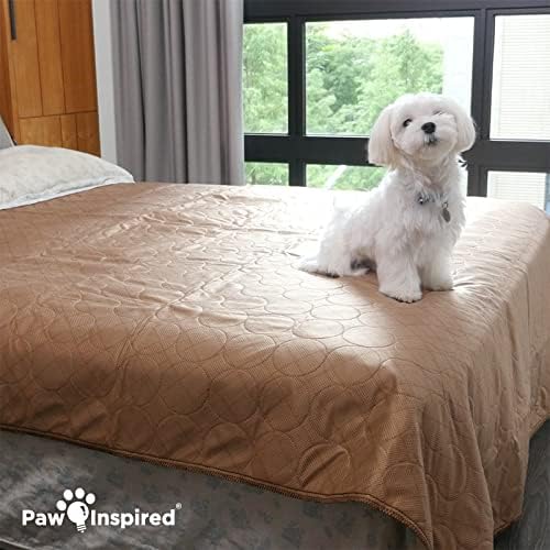 Paw Inspired Washable Pee Pad for Dogs, 72x72 Inch XL Size