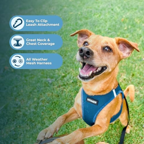 Best Pet Supplies Voyager Step-in Air All Weather Mesh Harness and Reflective Dog 5ft Leash Combo with Neoprene Handle, for Small, Medium and Large Breed Puppies - Turquoise, X-Small