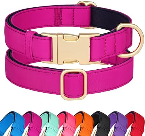 Didog Soft Padded Dog Collar for Large Dogs, Rose Purple, L Neck 16-22"